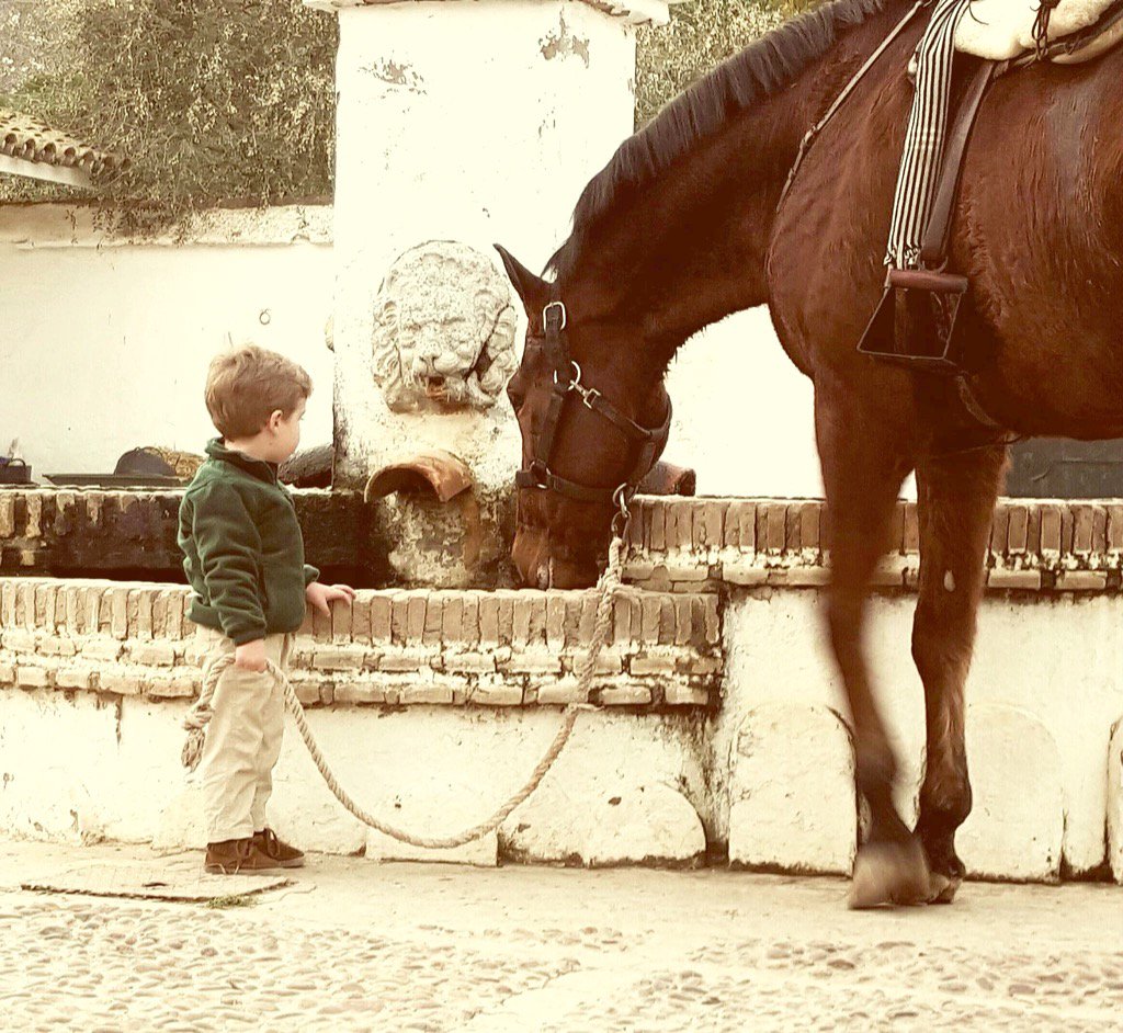 GanaderiaMPG's tweet photo. "Cuando la afición y la nobleza se unen" https://t.co/2lgirWvBSN