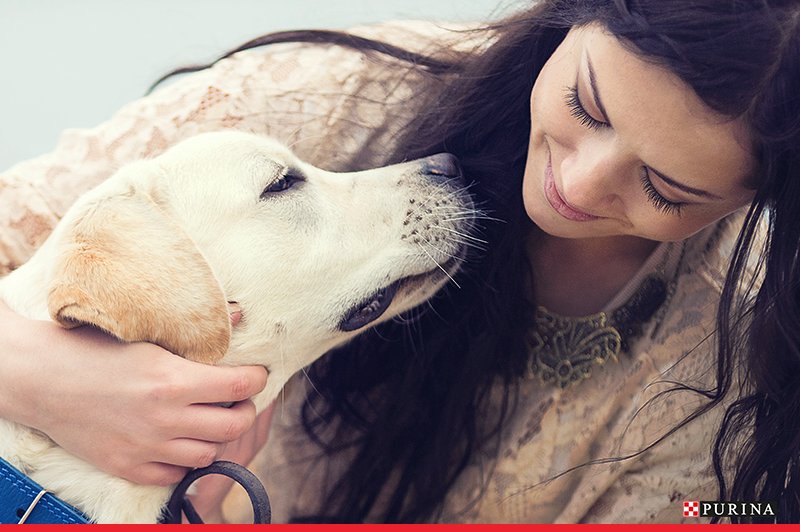 NBeetschen's tweet image. Purina gives their people the benefits of pets at work where possible! bit.ly/1KH8s1B #iampurina
