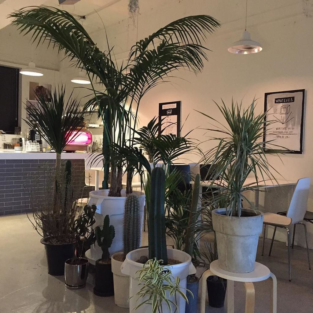 BerkowitzAaron's tweet image. Love me a good #selfie #RT #울산 #일상 #데일리 #셀카 #셀피 #daily #selca #cafecode