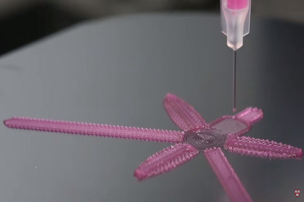 microlynx's tweet photo. Oubliez l'impression 3D ! https://t.co/2FlIKIb3fB La 4D arrive ! #3Dprinting #4Dprinting #Harvard https://t.co/l9sG4dUfuv