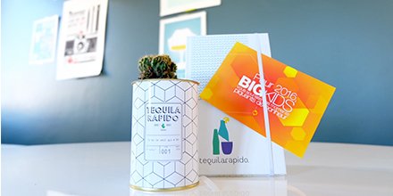 Merci <a href="/bigkidsfr/">Big Kids</a> <a href="/aycactus/">AŸ Cactus</a> pour ce joli cadeau qui nous annonce une année pleine de piquant ! Yeah ! :p