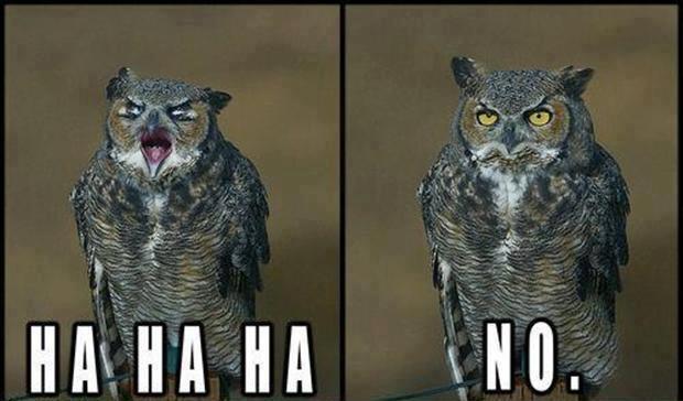 LaunchBlue's tweet image. My most polite response to the old man Roshi when he askes me to have a slumber party with him. And then he dies...