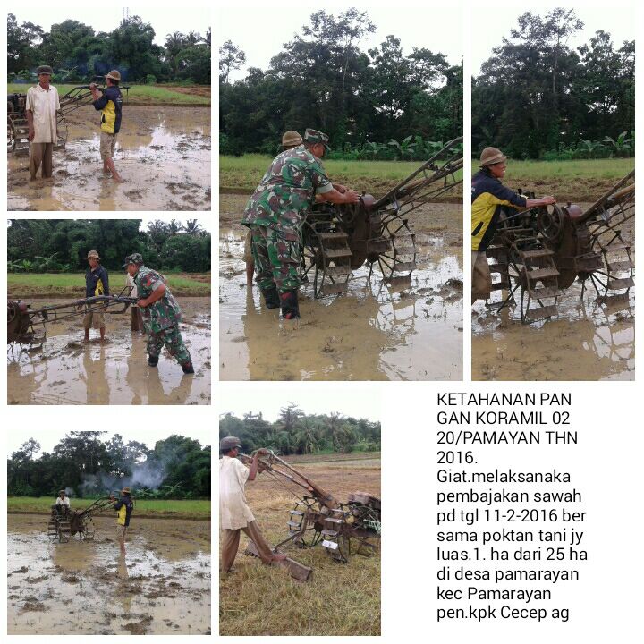 tv_desa's tweet photo. Giat Ketahanan Pangan Koramil 0220 Pamarayan Serang https://t.co/WoncILfxJK
