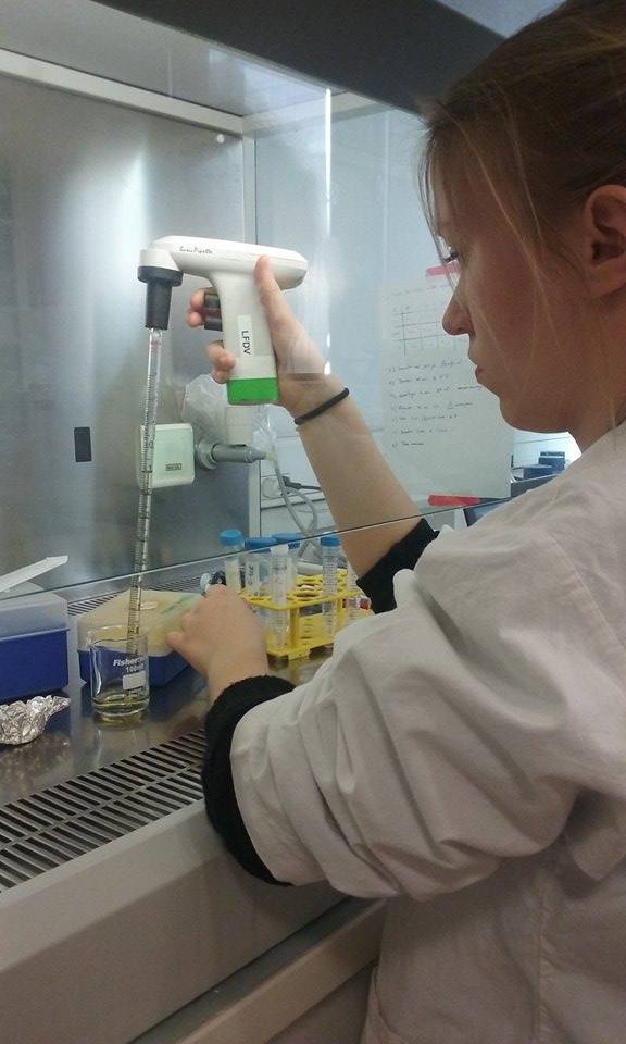 BacteriaCleaner tweet media