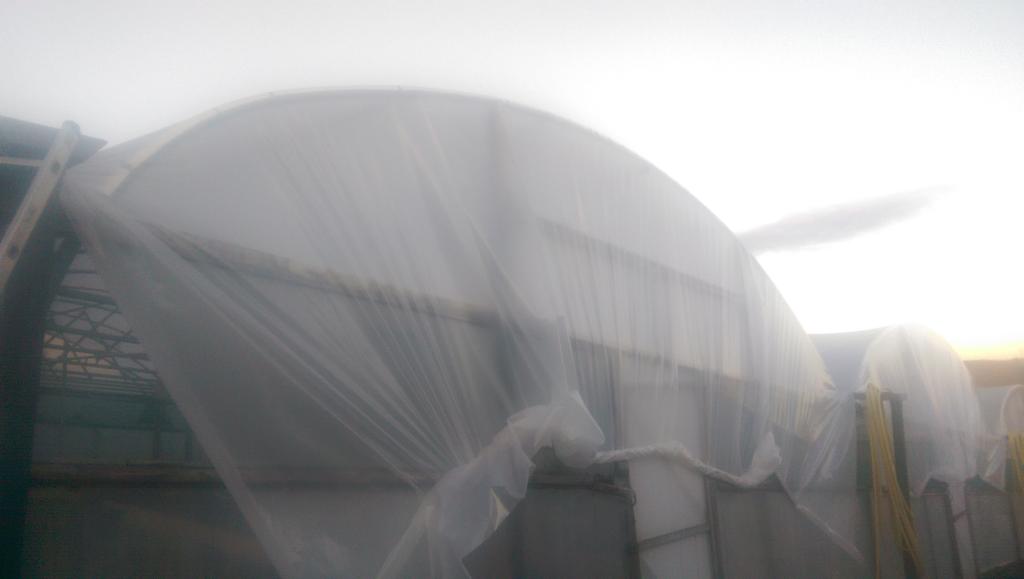 park_sampford's tweet photo. Three sheets pinned ,@NatPolytunnels @BPI_visqueen lumisol d beauty weather today X https://t.co/hdYte23L8R