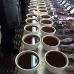 Photo by colonna (@ColonnaCoffee)