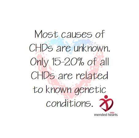 MlhCva's tweet photo. #CHDAware https://t.co/XGz4fPjR65
