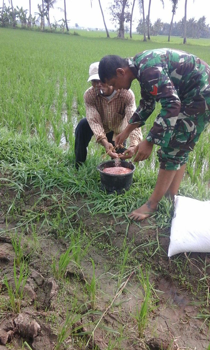 tv_desa's tweet photo. Giat Koramil 0203 Kramatwatu Kodim 0602 Serang https://t.co/ghpqCkUxgg