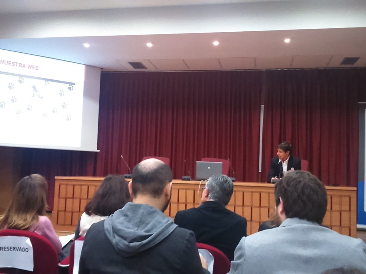 Exponen ahora el proyecto <a href="/doggycat_/">Tf F</a> #multimep #sevinfogala #proyeccom16