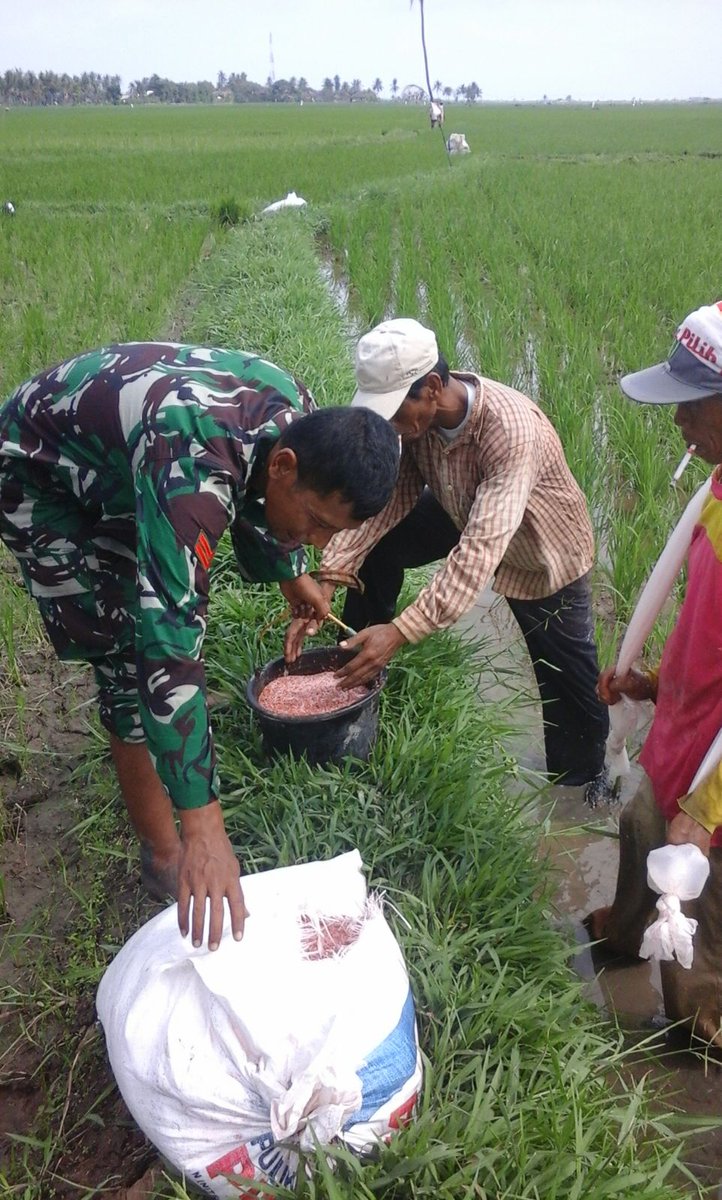 tv_desa's tweet photo. Giat Koramil 0203 Kramatwatu Kodim 0602 Serang https://t.co/ghpqCkUxgg