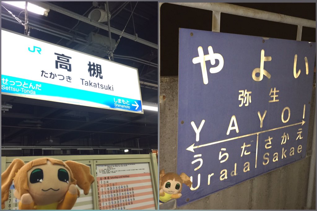 TortaP|Leo@🇯🇵MOIW2025) tweet media