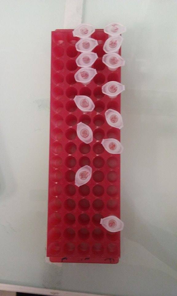 BacteriaCleaner tweet media