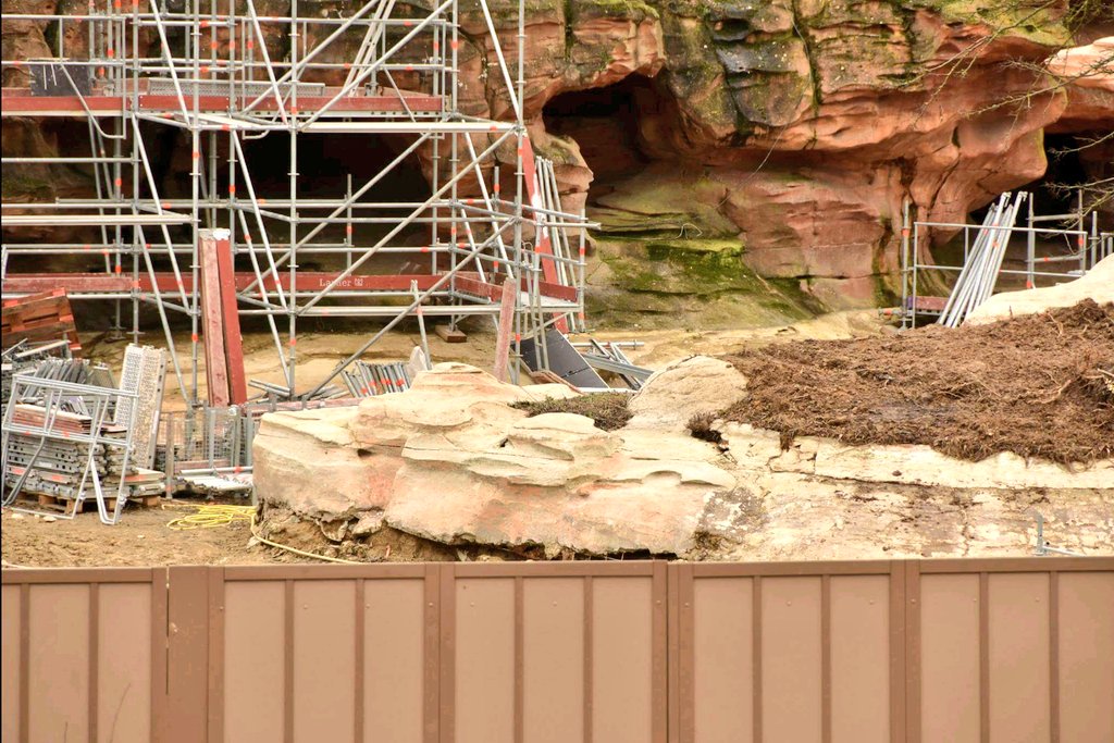 Big Thunder Mountain - Réhabilitation [Frontierland - 2015-2016] - Page 16 Ca7lFDFWAAAgQFS