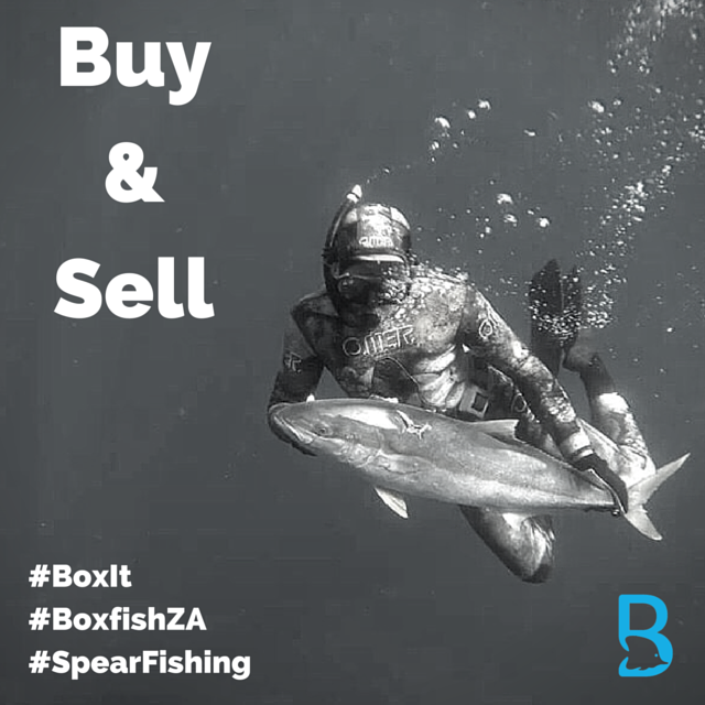 BoxfishZA tweet picture