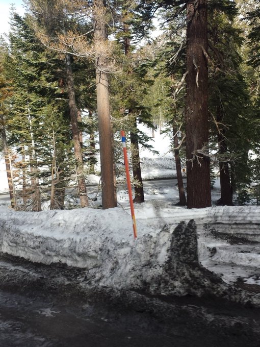 By by mammoth https://t.co/i1naWhXWpS