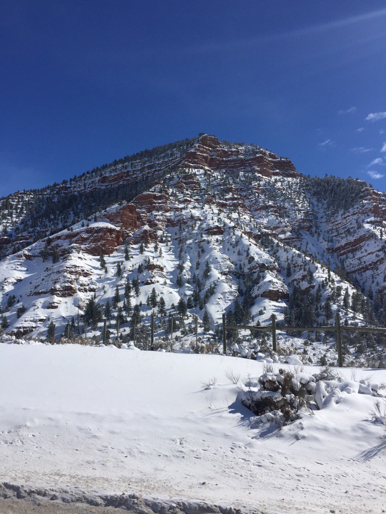McClintocks's tweet photo. Bye Colorado Rockies, till next year! https://t.co/DlhWin00rq