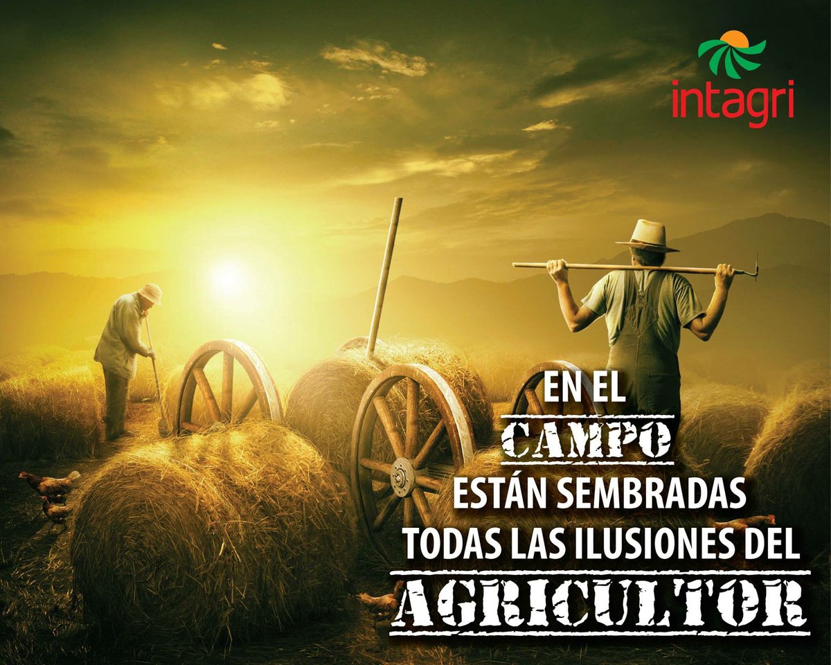 Azucenamata's tweet photo. En el campo están #sembradas todas la ilusiones del #Agricultor https://t.co/GdrJGmwg6K