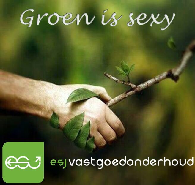 Robert Vd Esschert tweet media