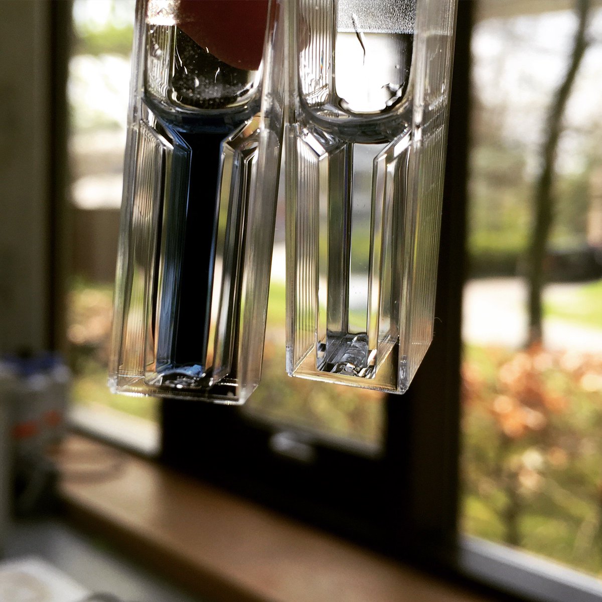 Kelly Dwyer tweet media