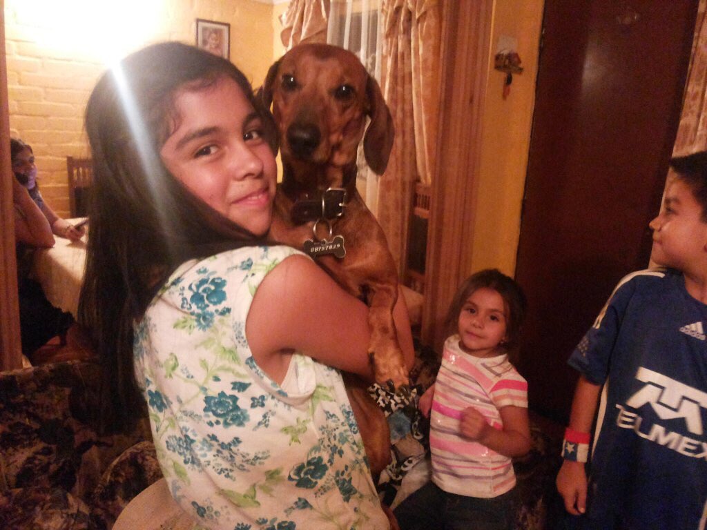 cosmica_gatita's tweet photo. 🚨solidarios
#Doglover 🐶
#Perdido #Holey
#Talca es compañero de un niño oncólogico 
Ayudenme a dif 
Regálenme RT 🙏🏻 https://t.co/p5T9R7v2Ng