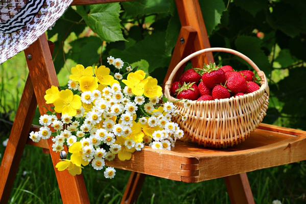 GA🌸<a href="/miumiuhoney/">miumiu</a> @skp_203 <a href="/She_Devil643/">Klaudia</a> <a href="/huskorkut/">huskorkut</a> <a href="/lilian8090/">Lilian2020</a> @Tunde_Barta <a href="/AlinaDal_F/">ADF</a> <a href="/peac4love/">Ceni</a> <a href="/FerratoPaola/">Paola Ferrato</a>🌸Ty