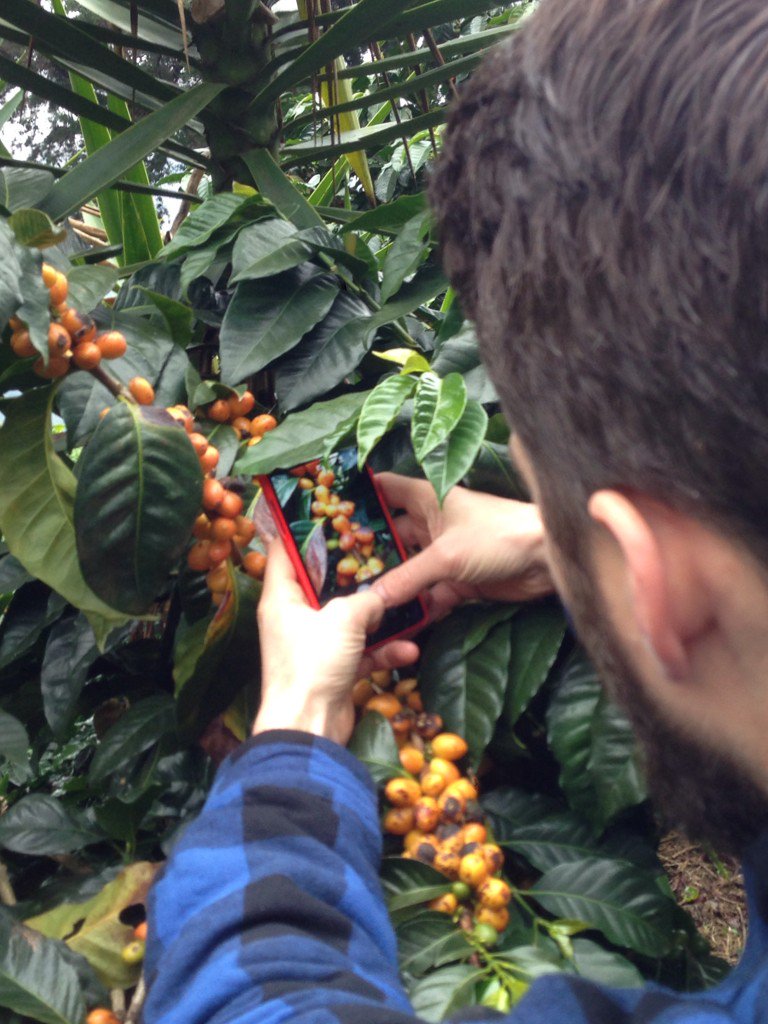 Equator Coffees tweet media