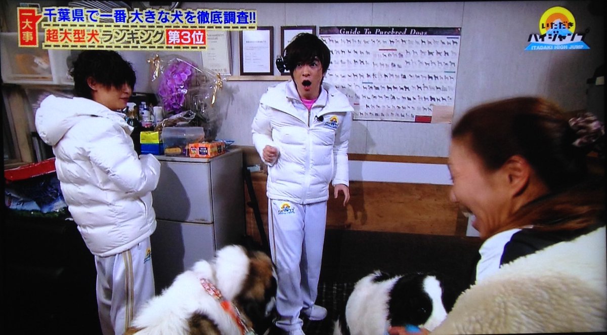 ayaka_____JUMP's tweet photo. ビビる知念と我が子を見守るかのようなスタッフさんをどうぞ https://t.co/h6XqvSlcZG