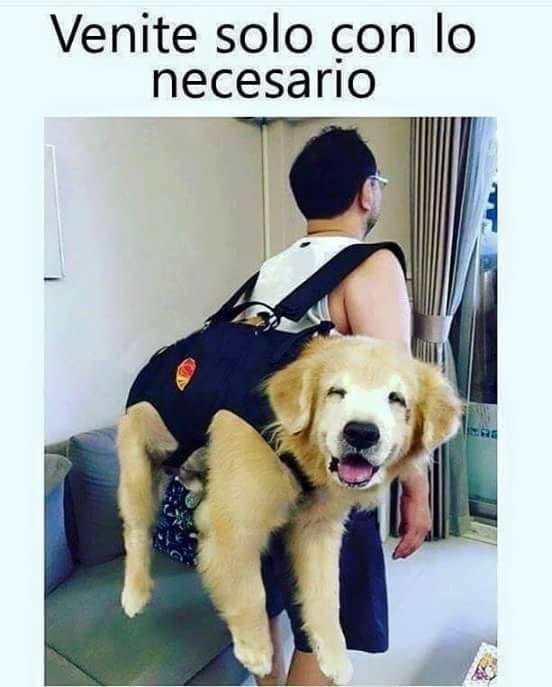 matiiasmurua's tweet photo. @federicoscarr lo necesario fede, mas no lleves mañana... :P https://t.co/2nLk1rbw0L