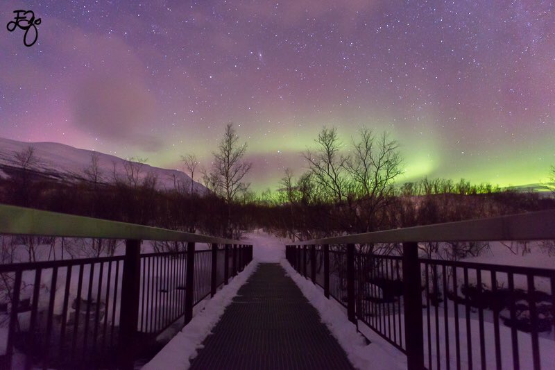 Eva Olsen Photography tweet media