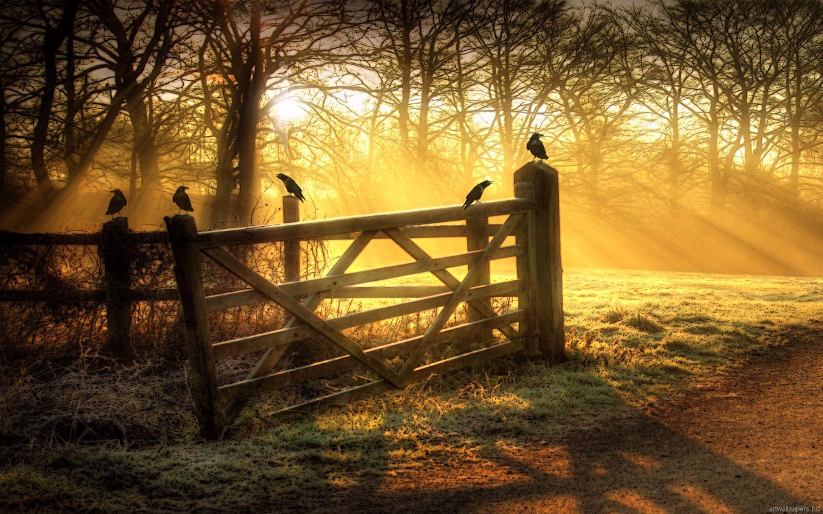 AmazingTracks's tweet image. Yes, even you.

Aesop Rock - None Shall Pass. youtube.com/watch?v=ZEBGCO…