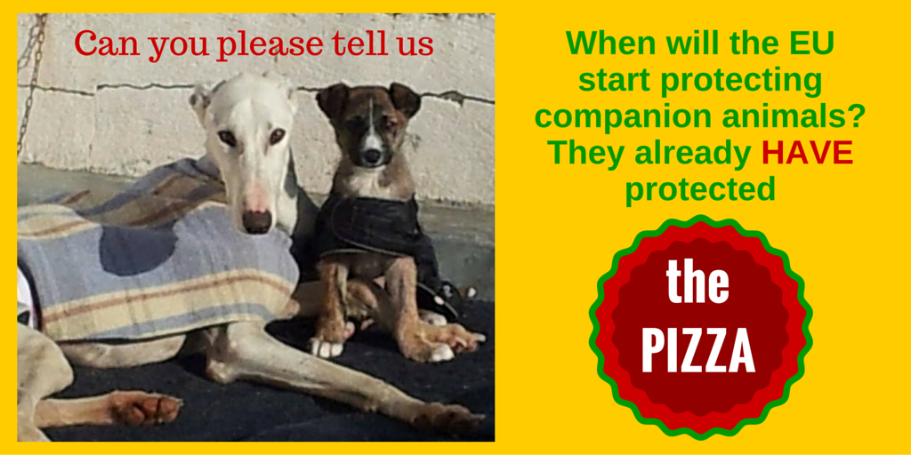 .<a href="/JHahnEU/">Johannes Hahn</a> The pizza is protected by the EU, but no law prohibits the torture of pets including hunting dogs #DiaDelGalgo #Galgos #Podencos