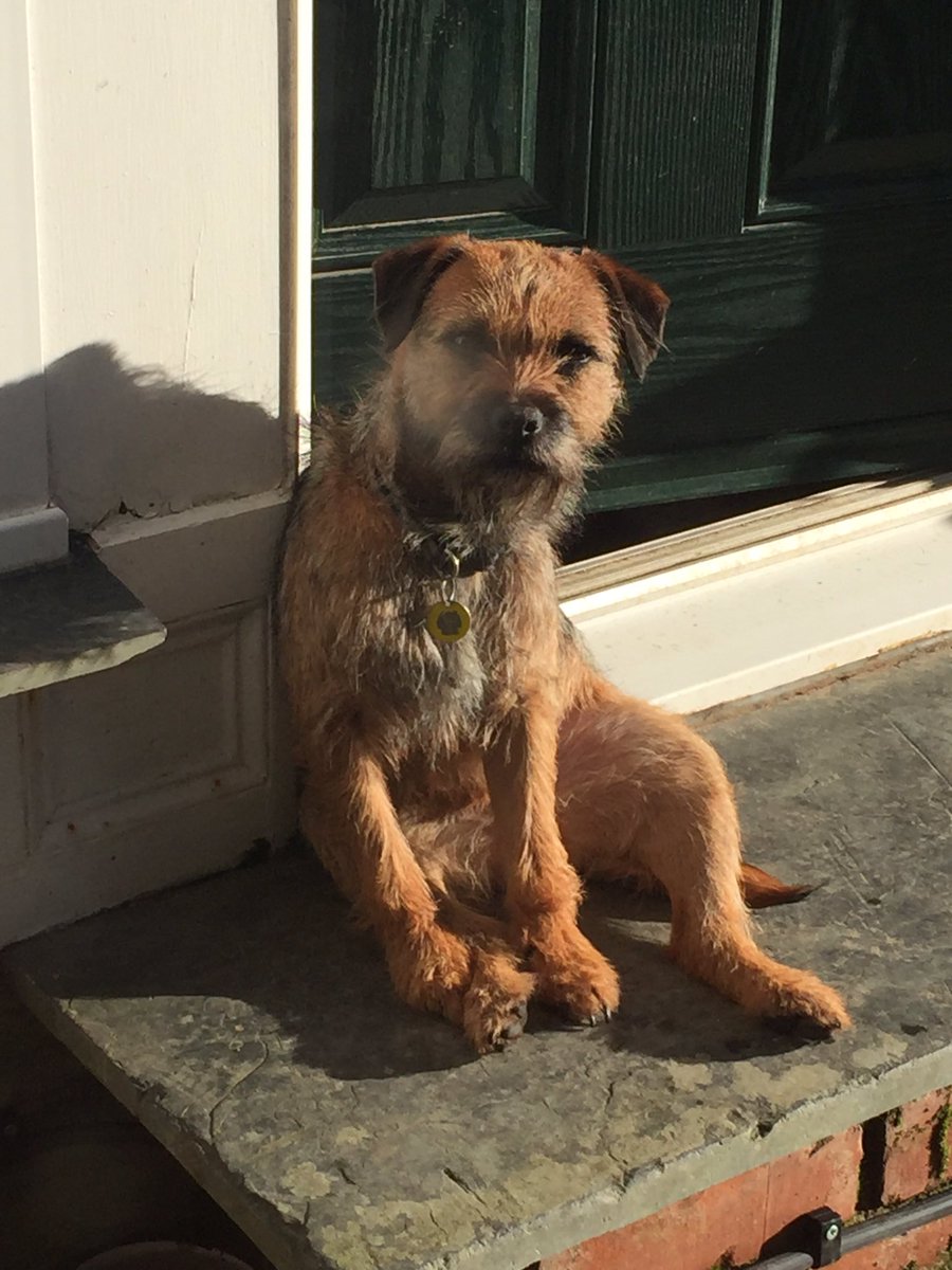 Rubytheborder's tweet image. Sunbathing in February - who'd have thought it!?