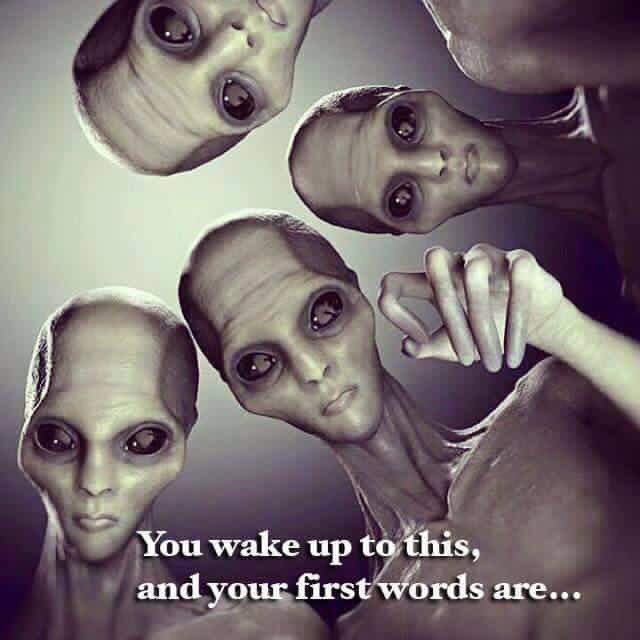 whiskeyhippie's tweet photo. "hey friends!!! you finally came for me! get me off earth plz" https://t.co/gFDqp20iEZ