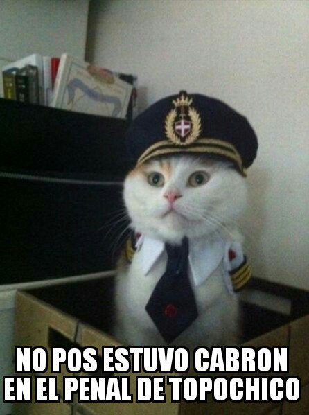 armando937's tweet photo. @VILLALVAZO13 https://t.co/2LrML2ltFO