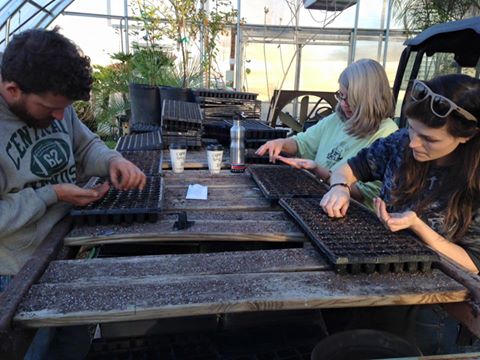 twodogfarmsllc's tweet photo. The seeding marathon continues!!! Thank you thank you thank you to these wonderful people and J&amp;A Nursery in Flora. https://t.co/2k3dGzBeTj