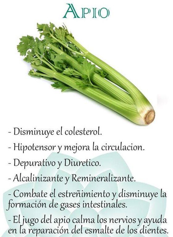 vidalightcentro's tweet photo. Tips @vidalightcentro https://t.co/17AQGIXFfd