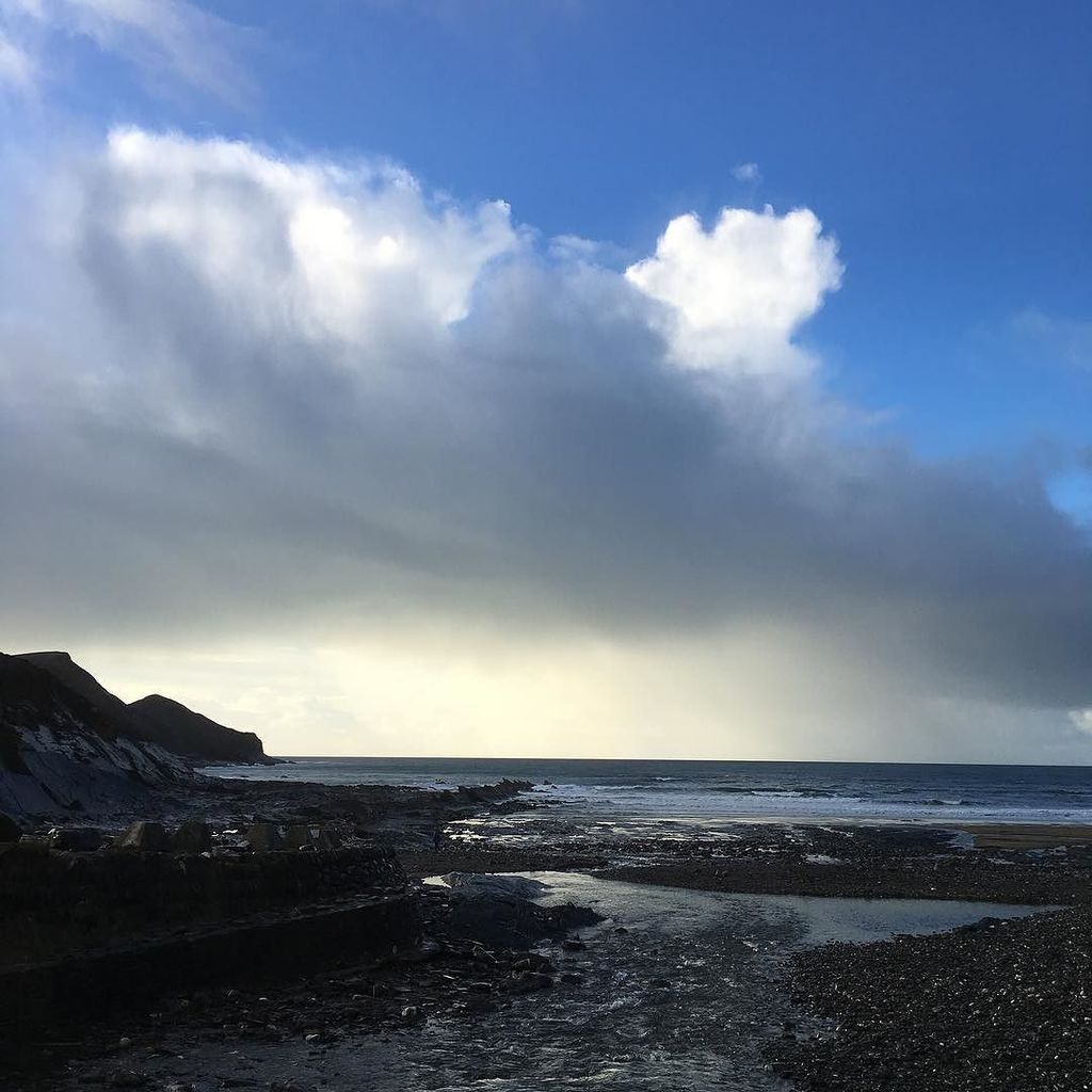 Jen Dixon tweet media