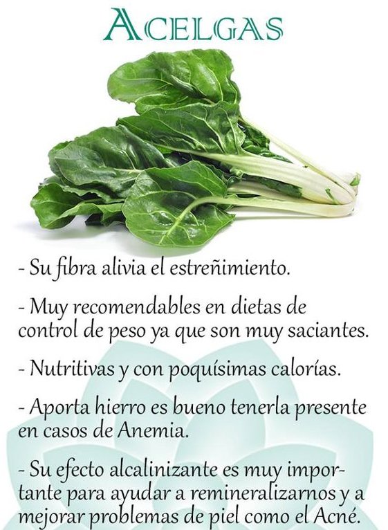 vidalightcentro's tweet photo. Tips @vidalightcentro https://t.co/xyiyyaeN54