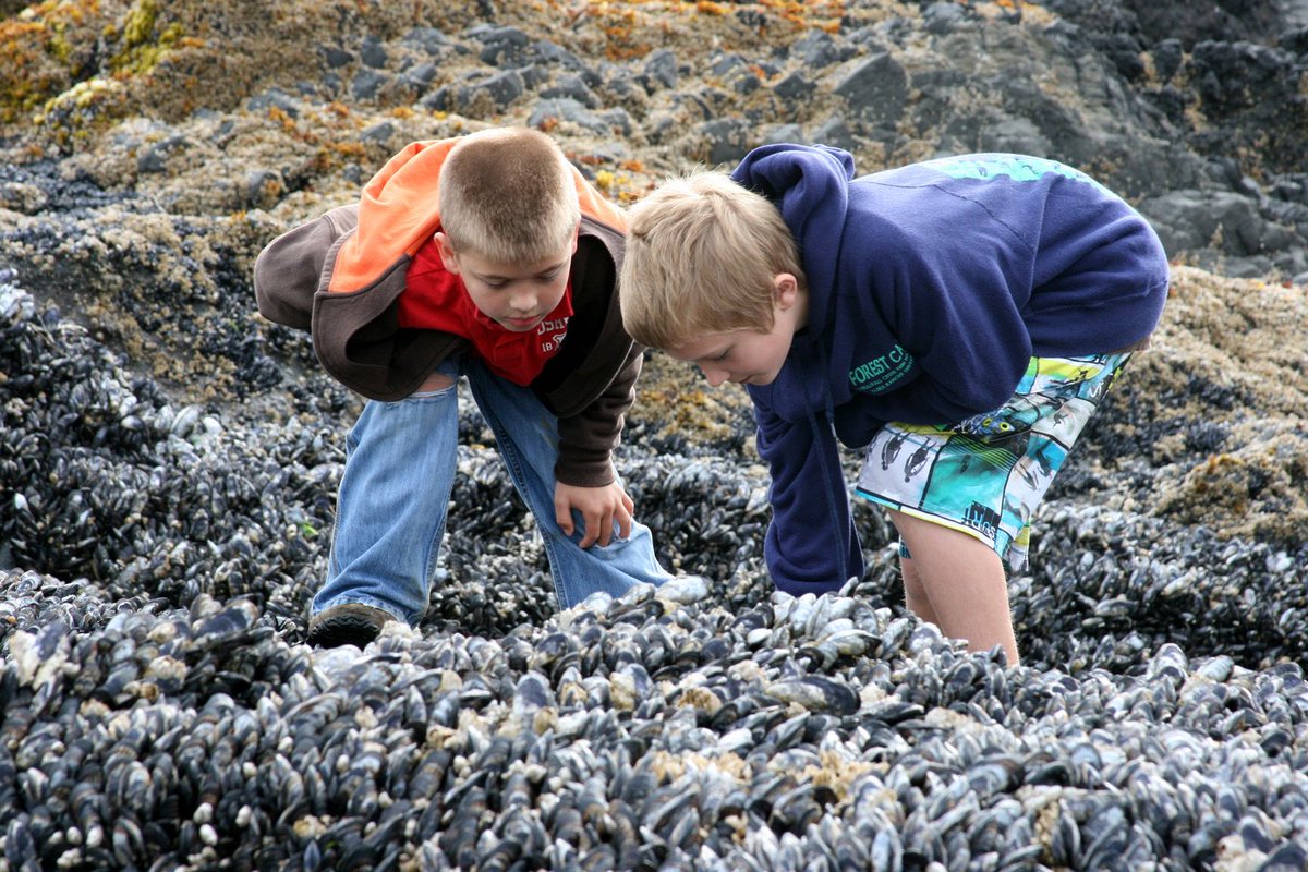 Forest Service NW tweet media