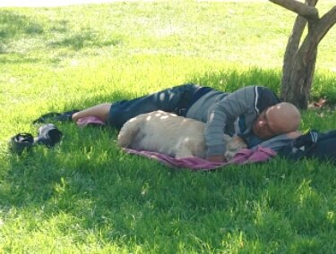 Perras Tuiteras🐾 Barrio Franklin 🇨🇱🐶🐱 tweet media