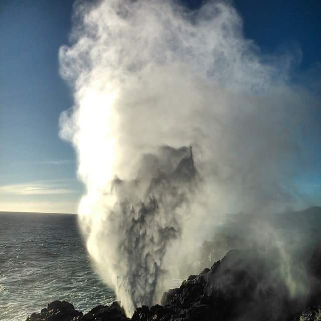losmollespro tweet picture