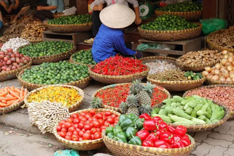 lonelyplanet's tweet photo. #Vietnam on a plate: a tour of Vietnam's best regional dishes: https://t.co/dUhOp7cDW7 #travel #lp https://t.co/G7hkFKHuao