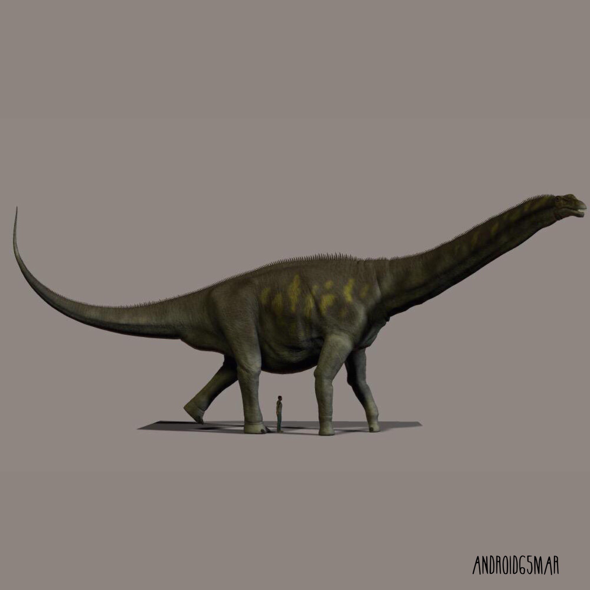 Dinosaur Facts on Twitter: Dinosaur Facts on Twitter: