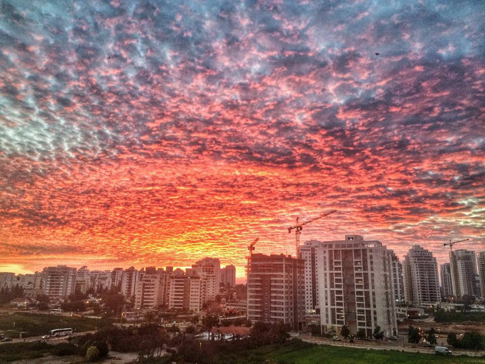 IsraelinTouch's tweet image. #TelAviv #sunset righ now is #craycray