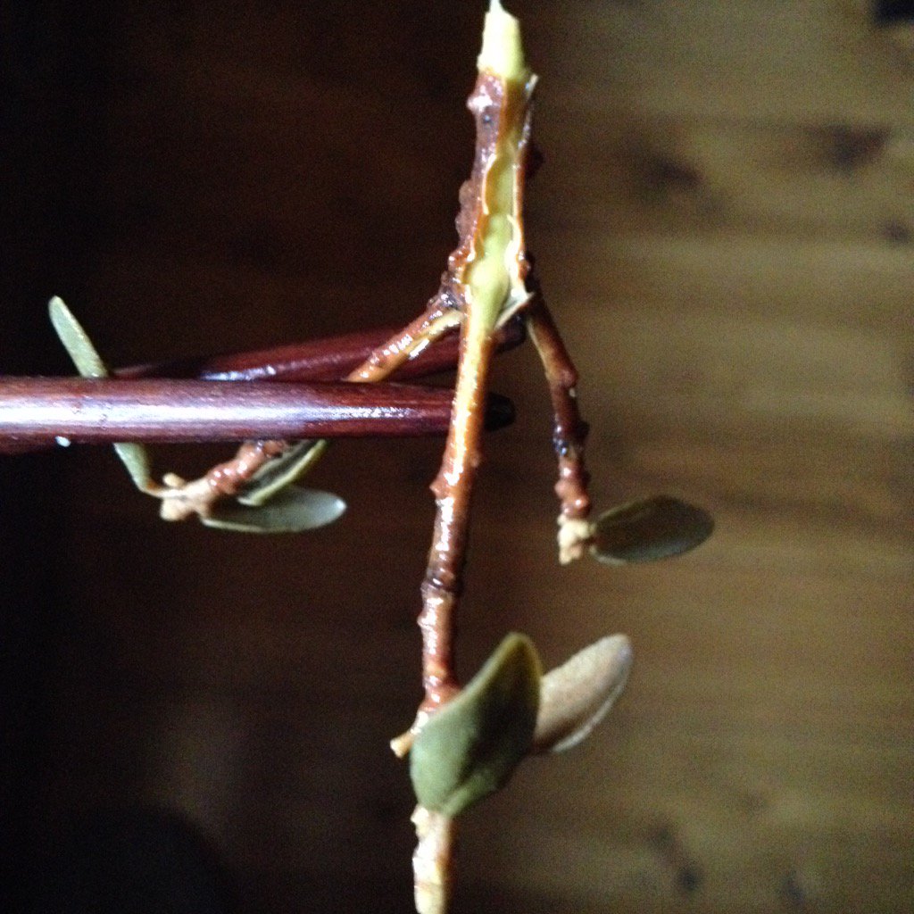 @Eleven11Mgmt //🙏🙏