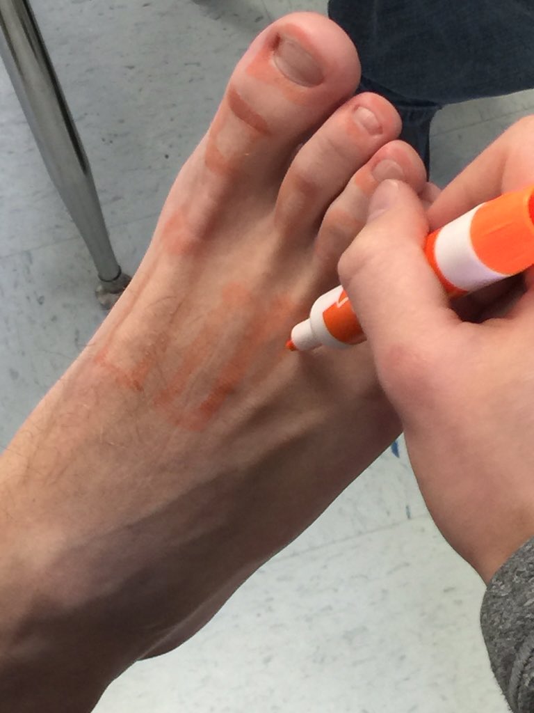 RipleywvAT's tweet photo. AT 1 class today worked on the foot bone lab today #footbones #AT4ALL https://t.co/kFXj5E1qyQ
