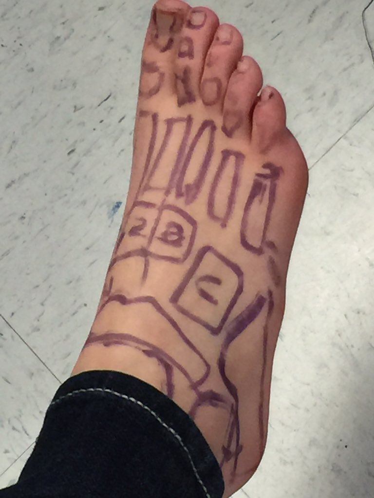 RipleywvAT's tweet photo. AT 1 class today worked on the foot bone lab today #footbones #AT4ALL https://t.co/kFXj5E1qyQ