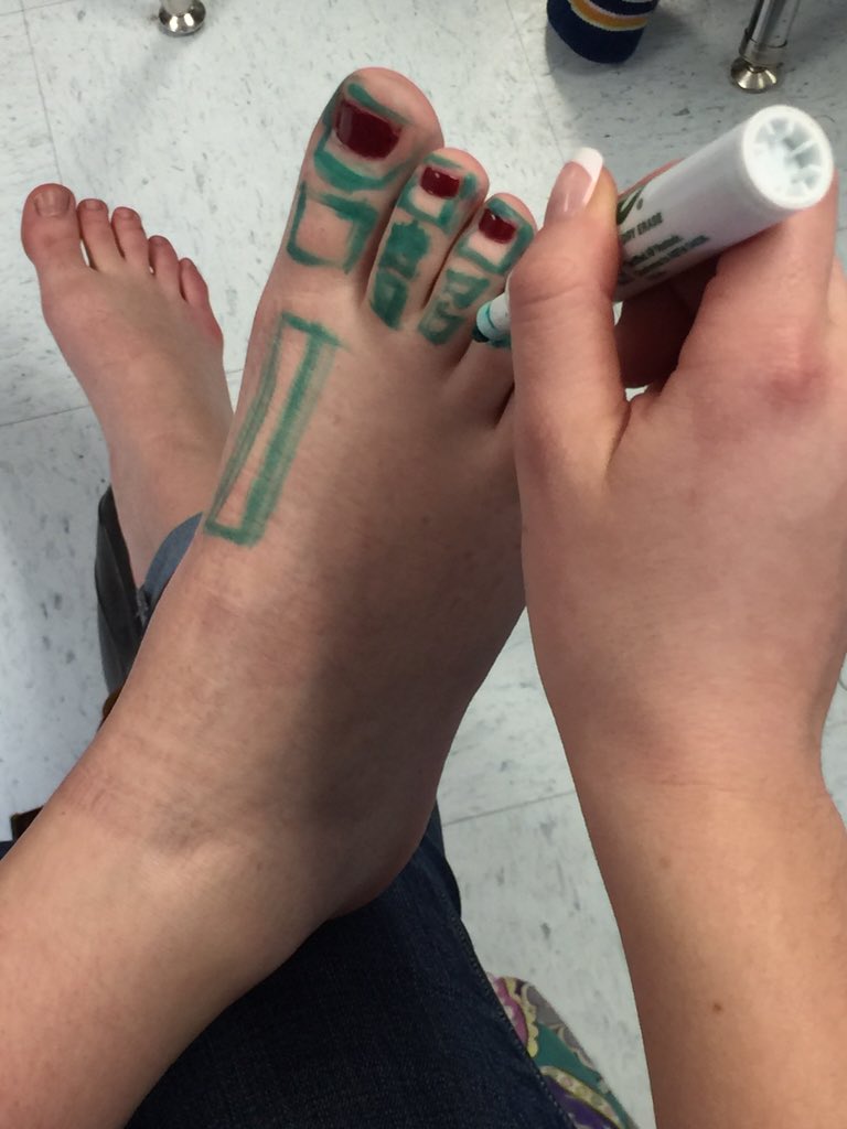 RipleywvAT's tweet photo. AT 1 class today worked on the foot bone lab today #footbones #AT4ALL https://t.co/kFXj5E1qyQ