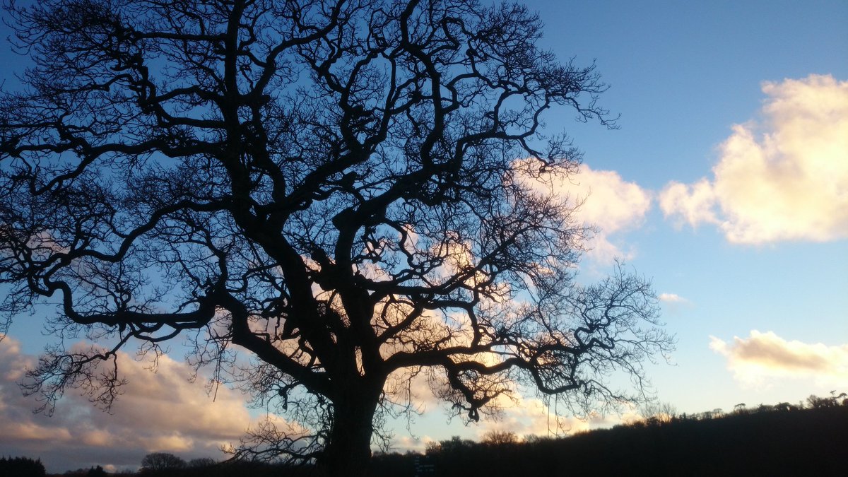 newcloseiow's tweet photo. Lovely light on the Isle of Wight #Newclose #Sundown https://t.co/ln0DVaJ9W8