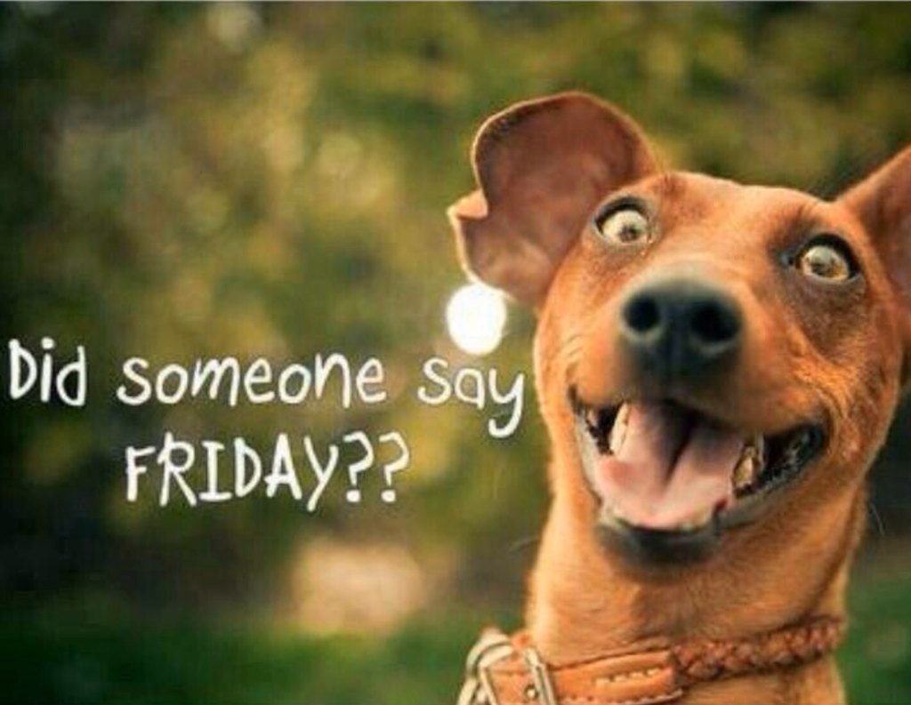 HamunaptraSpain's tweet photo. Is it friday yet? Is it friday yet? Is it friday yet? @Maiko_Pink #SisHug #SisParty #SisWeekend sorry edition 3.0💃😱😍 https://t.co/rBZxFFfIgD